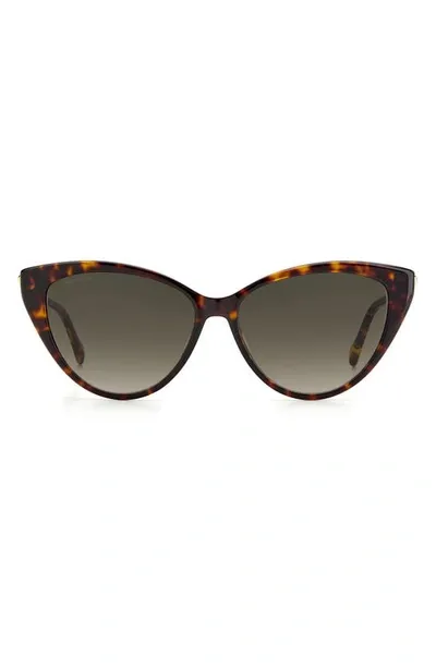 Jimmy Choo Val/s Ha 0086 Cat Eye Sunglasses In Brown