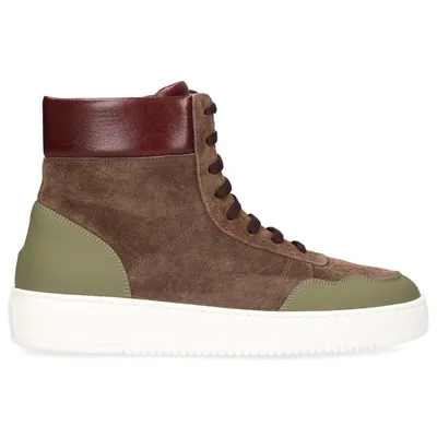 Truman's High-top Sneakers 9435 In Brown