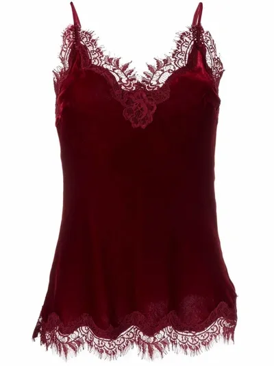 Gold Hawk Red Lace-trim Camisole Top