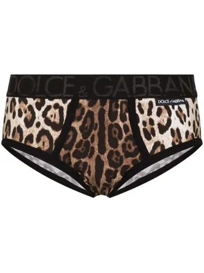 Dolce & Gabbana Logo Leopard Print Stretch Jersey Briefs