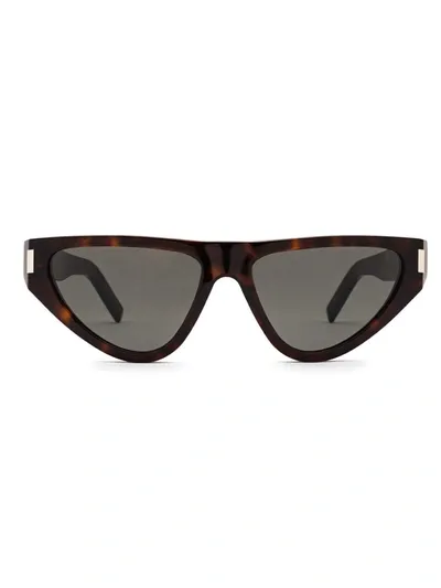 Saint Laurent Eyewear Cat In Brown