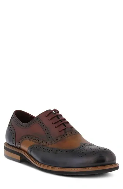 Spring Step Niko Leather Wingtip Oxford In Brown Multi