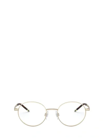 Polo Ralph Lauren Ph1193 Matte Pale Gold Glasses