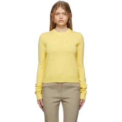 Sportmax Agitare Wool And Cashmere Sweater In Yellow