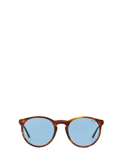 Polo Ralph Lauren Ph4096 500772 Sunglasses