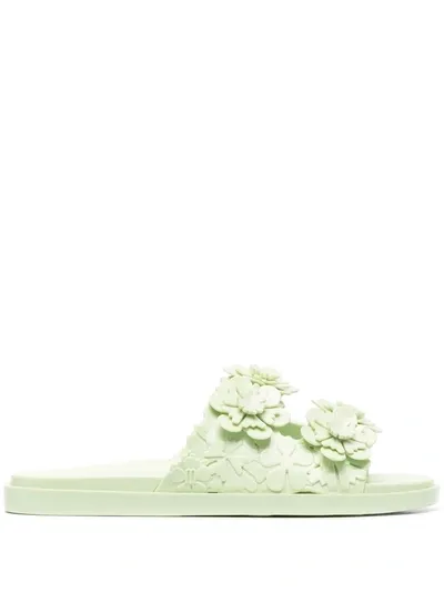 Viktor & Rolf X Melissa Blossom Wide Slip-on Sandals In Green