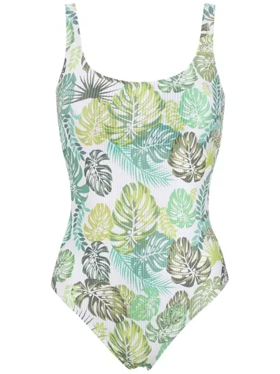 Amir Slama Palm Leaf Print Swimsuit In Green