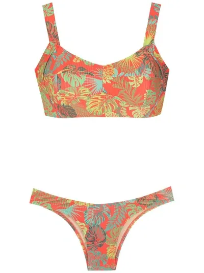 Amir Slama Palm Leaf Print Bikini In Red