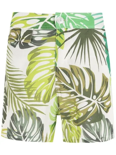 Amir Slama Leaf Print Shorts In White