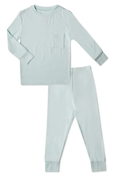 Baby Grey By Everly Grey Baby Grey Fitted Two-piece Pajamas In Whispering Blue