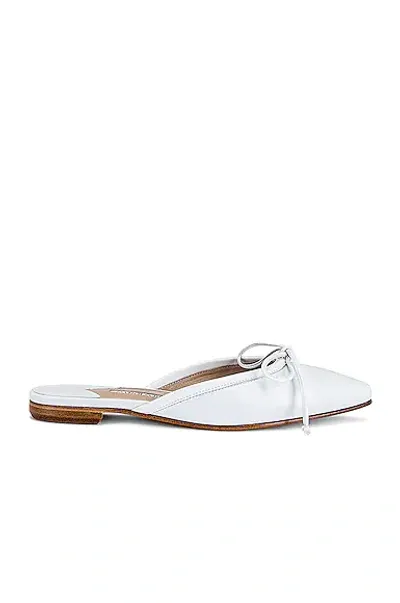 Manolo Blahnik Ballerimu Square Toe Mule In White