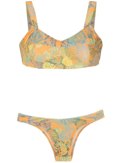 Amir Slama Palm Leaf Print Bikini In Orange