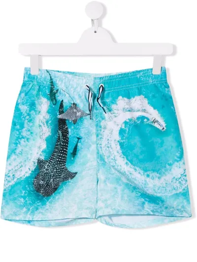 Molo Teen Boat Spin Swim Shorts In Blau