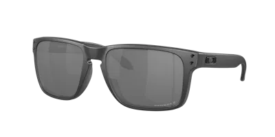 Oakley Holbrook™ Xl Sunglasses In Steel