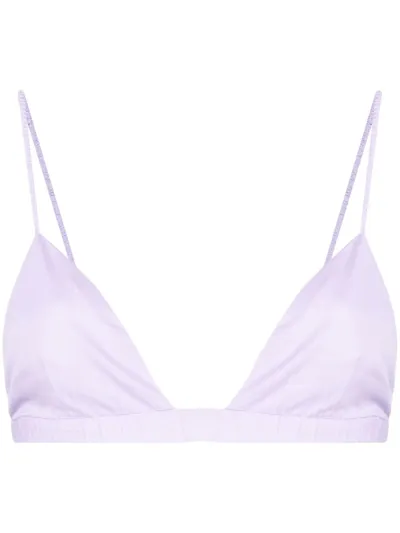 The Andamane Triangle Bra Top In Viola