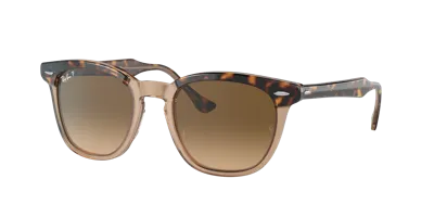 Ray Ban Ray In Brown Gradient Polar