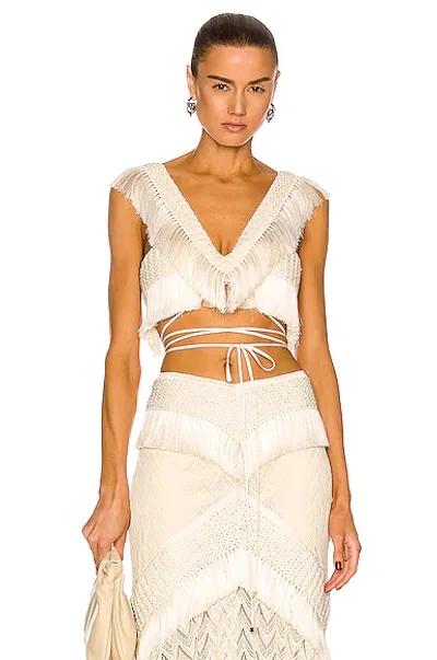 Patbo Fringe Trim Crop Top In Bone