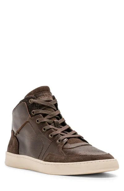 Rodd & Gunn Sussex High Street Sneaker In Chocolate Wash