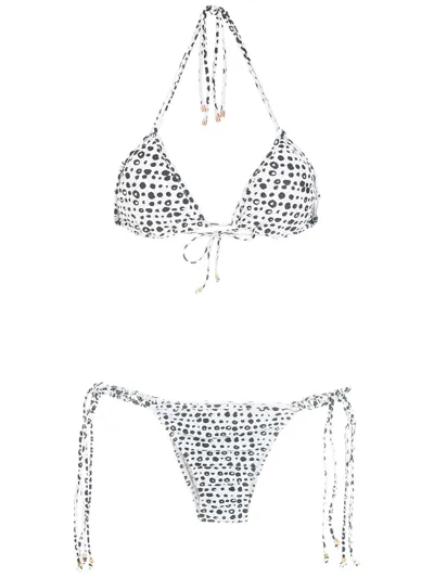 Amir Slama Polka Dot-print Triangle Bikini In Neutrals