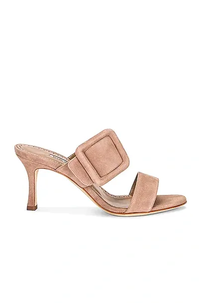 Manolo Blahnik Suede Gable 70 Sandal In Dark Nude