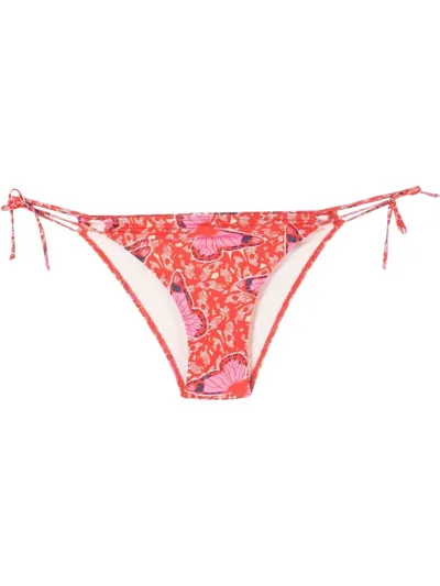 Roseanna Wood Farfalla Bikini Bottoms In Red