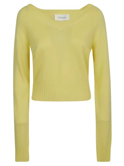 Sportmax Fatuo Sweater In Giallo