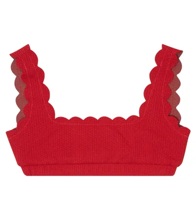 Marysia Bumby Kids' Palm Springs Bikini Top In Scooter