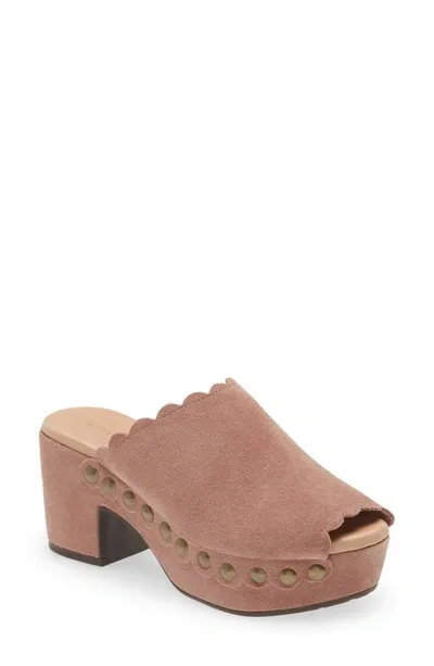 Chocolat Blu Genessis Platform Clog In Plum Suede