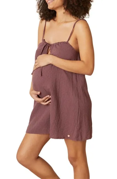 Cache Coeur Organic Cotton Maternity & Nursing Nightgown In Plum