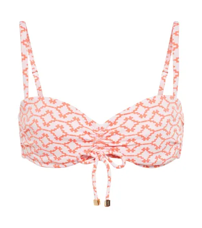 Heidi Klein Antigua Printed Bikini Top In Arabian Sunset