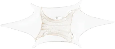 Rui Long Thorns Plate In Crystal