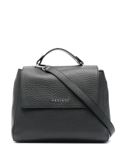 Orciani Grained Leather Crossbody Bag In Black