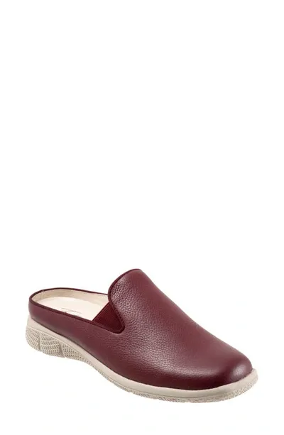 Trotters Uma Mule In Dark Cherry