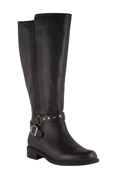 David Tate Kimmy Knee High Boot In Black