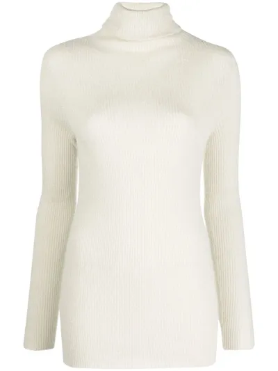 Fabiana Filippi Ribbed-knit Roll-neck Top In Neutrals