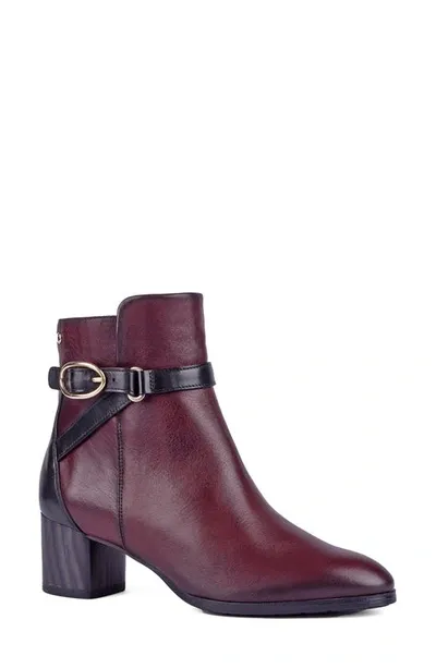 Pikolinos Calafat Buckle Bootie In Mahogany