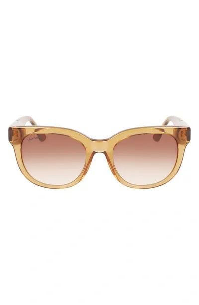 Lacoste 52mm Oval Sunglasses In Transparent Caramel