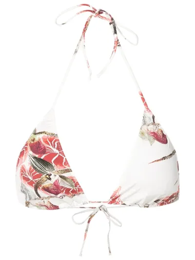 Clube Bossa Aava Floral-print Bikini-top In Neutrals