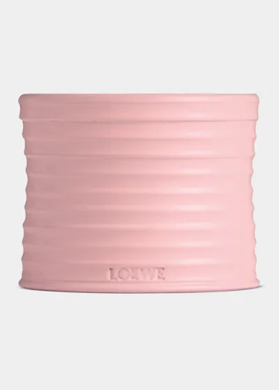 Loewe 21.5 Oz. Medium Ivy Candle In Multi