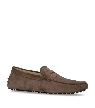 Tod's Suede Penny Driving Shoes In Brown