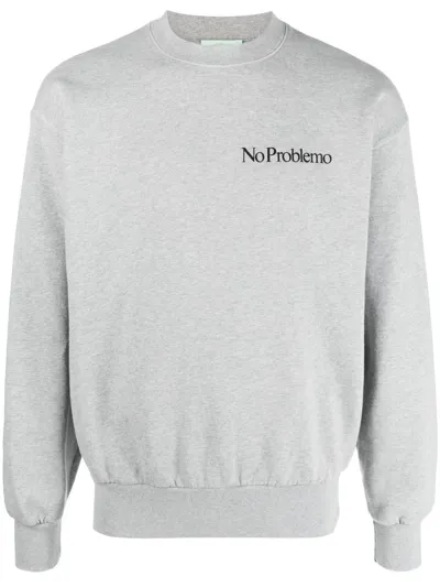 Aries Mini Problemo Sweatshirt In Grey