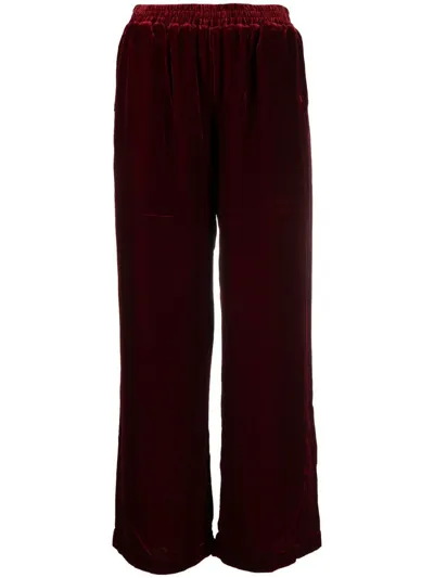 Gold Hawk Straight-leg Velvet Pants In Red