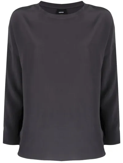 Aspesi Crew Neck Long-sleeved Silk Top In Grau