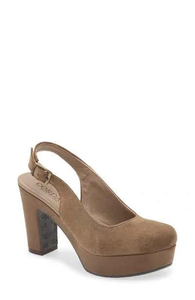 Cordani Torrie Platform Slingback Pump In Fango Suede