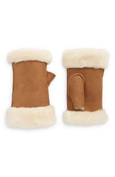 Ugg Genuine Shearling Fingerless Gloves In Chestnut