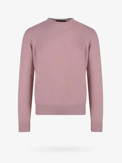 Nugnes 1920 Sweater In Pink