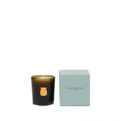 Trudon La Petite Bougie Odalisque (oranger En Fleur) 70g In Green