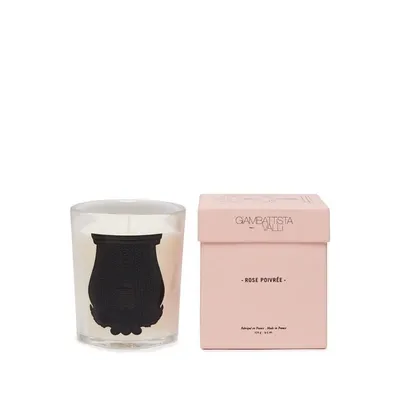 Trudon Bougie Parfumée Rose Poivrée (giambattista Valli) 270g In Pink