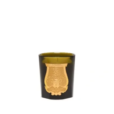 Trudon Bougie Parfumée Ernesto (cuir Et Tabac) 270g In Green