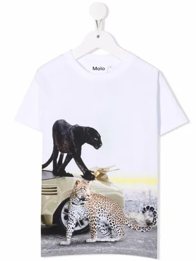 Molo Kids' Road Wild City T-shirt In Bianco